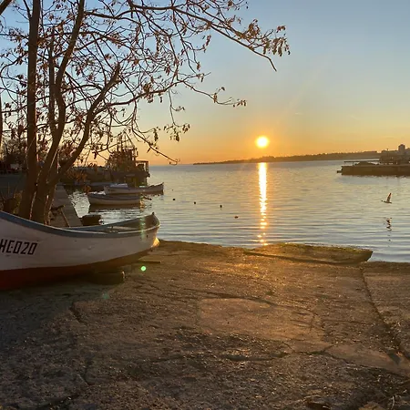 公寓 Paradiso B 411 Large Sea View *